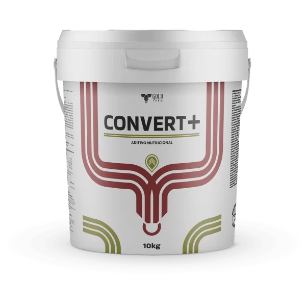 CONVERT+ 10 KG
