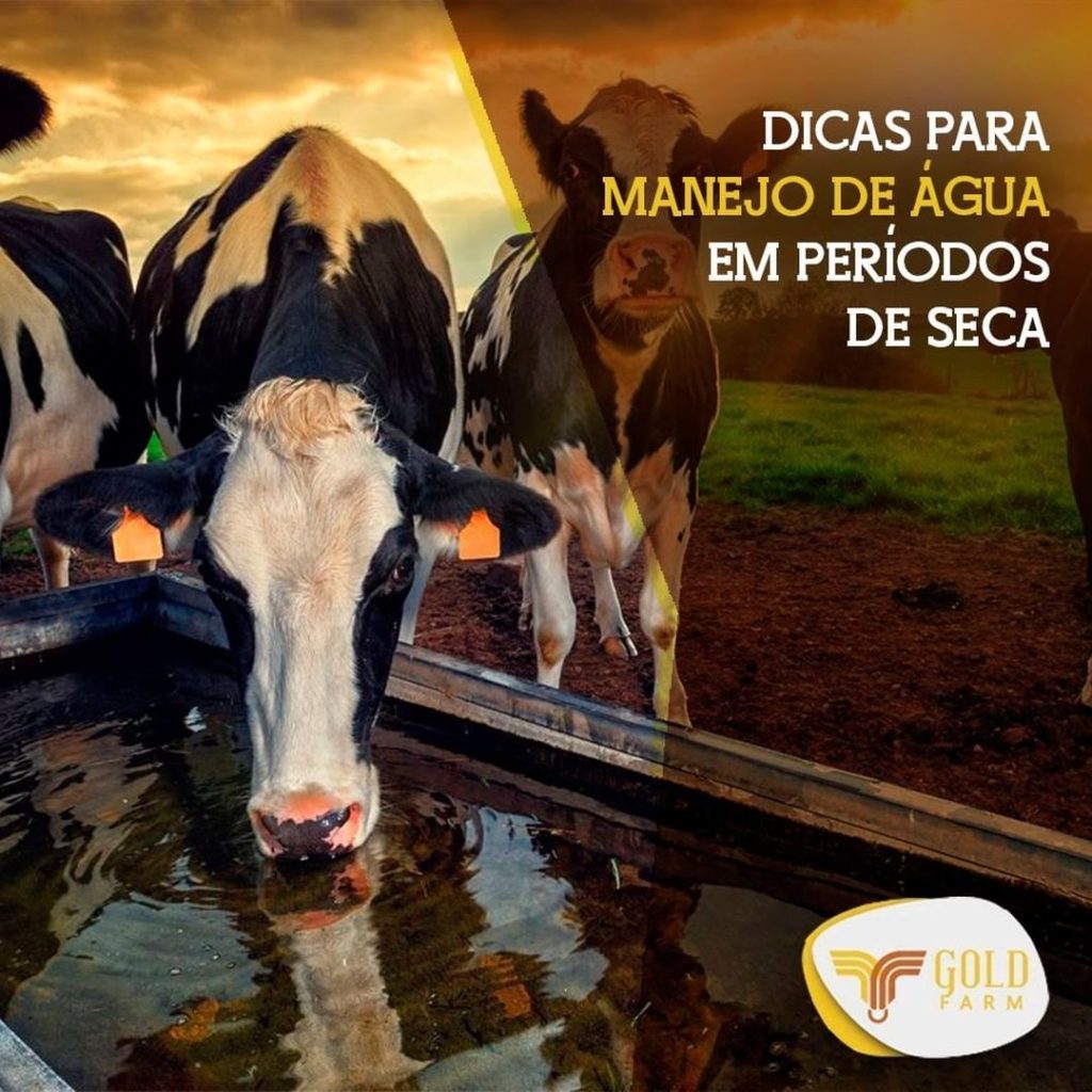 manejo de água Goldfarm