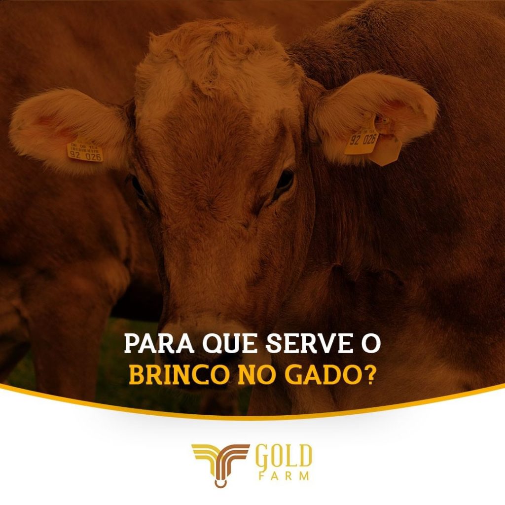 Brinco no gado Goldfarm Saúde animal