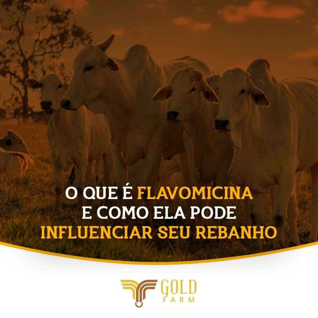 Flavomicina Goldfarm Gold Farm