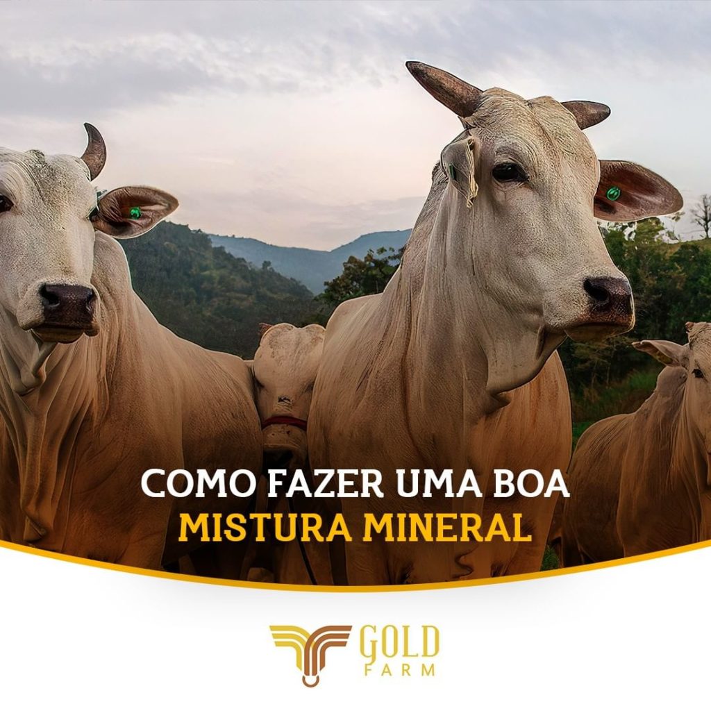 Mistura Mineral Goldfarm Gado alimentação