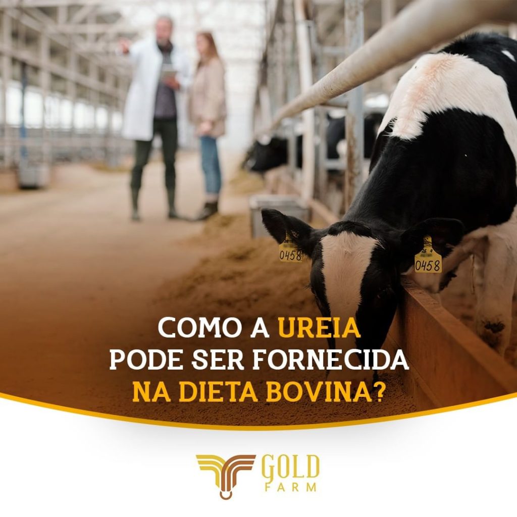 Ureia Dieta Bovina Saúde Animal Gold Farm