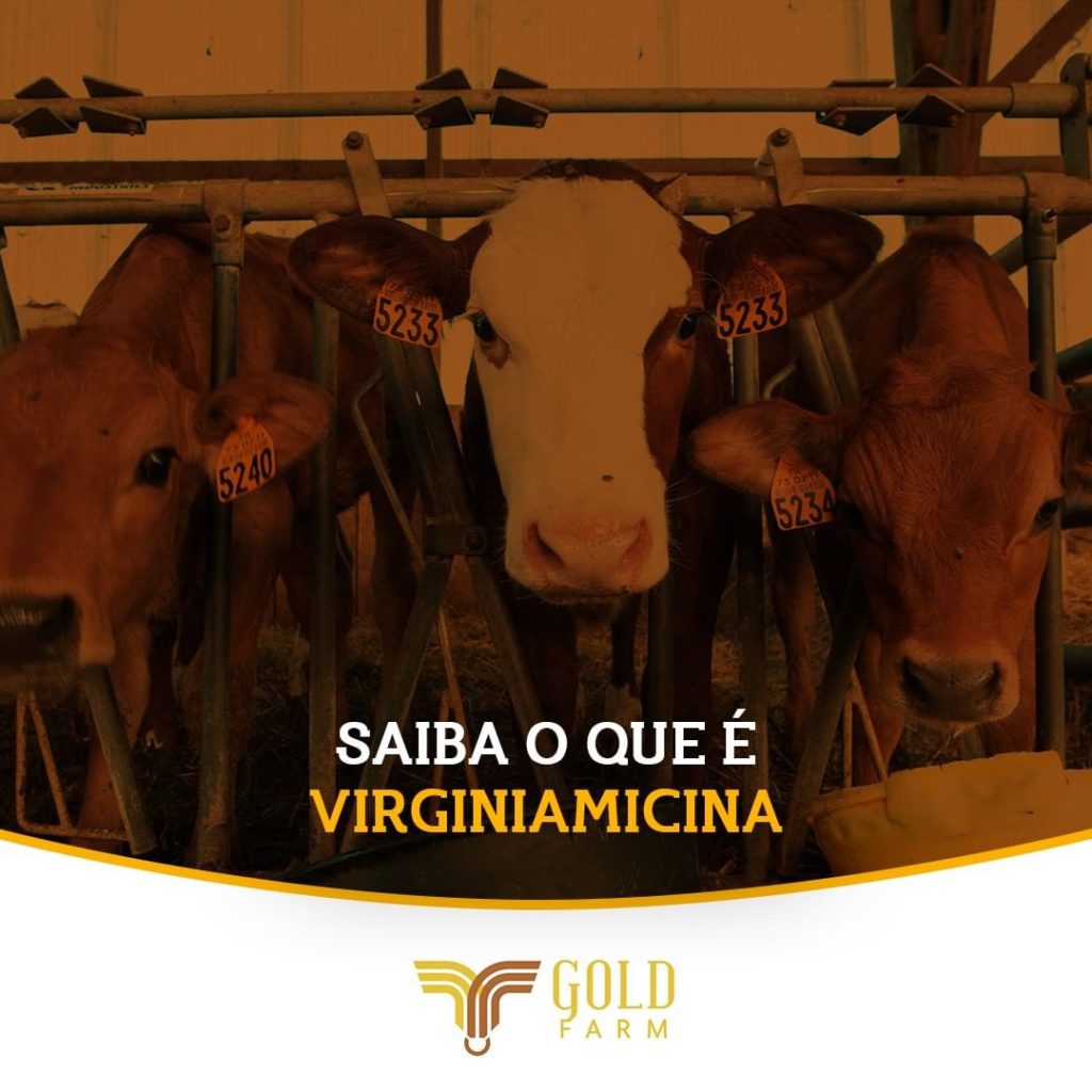 virginiamicina Gold Farm Saúde Animal