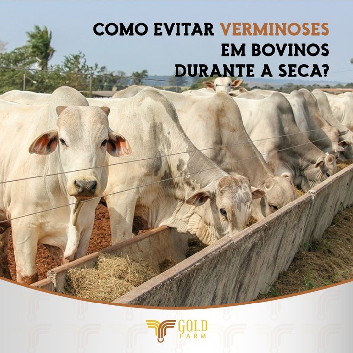 Verminoses em Bovinos Goldfarm Gold Farm