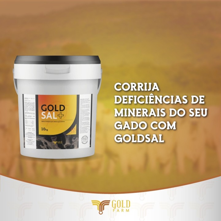 GOLDSAL goldfarm gold farm