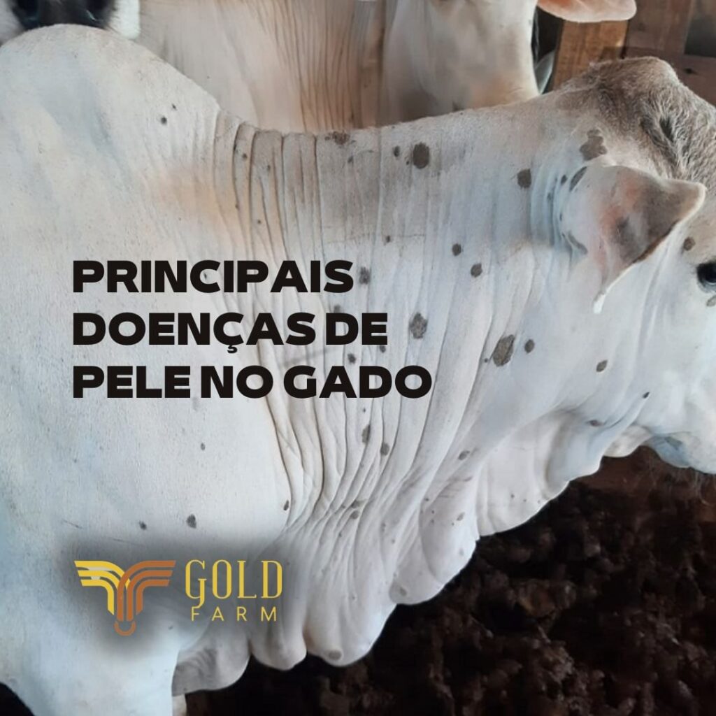 Doenças de Pele de Gado Goldfarm