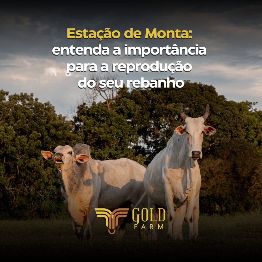 estação de monta goldfarm gold farm